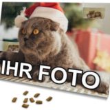printplanet – Katzen Adventskalender