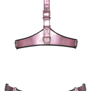 2-teiliges Harness-Set