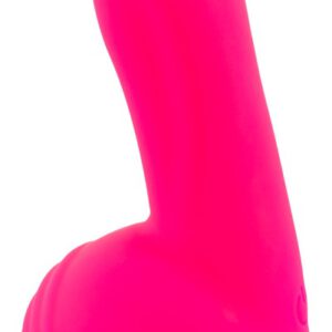 „Powerful Vibrator“ mit 2 Motoren